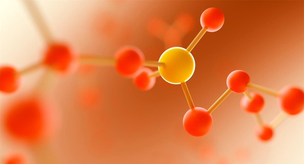 Nicotinamide Riboside Chloride